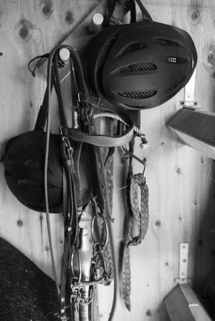 Horse tack hanging on a wall in black and whiteの写真素材