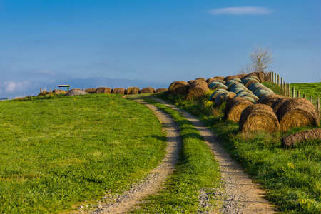 Virginia Farmland and Roadの写真素材