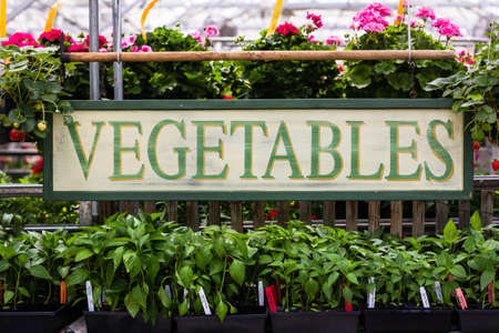 Vegetable sign at a market.の写真素材
