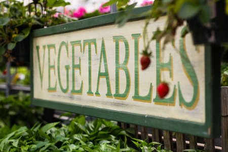 Vegetable sign at a market.の写真素材