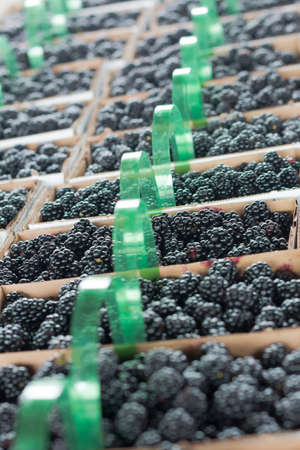 Baskets of Blackberries at a Produce Stand