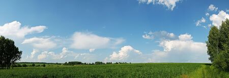 Panoramic view of the green field and beautiful sky with clouds.