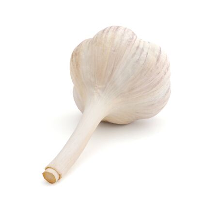 Garlicの写真素材