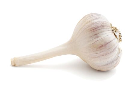 Garlic isolated on white backgroundの写真素材