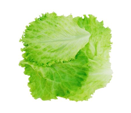 Fresh lettuce isolated on white background の写真素材