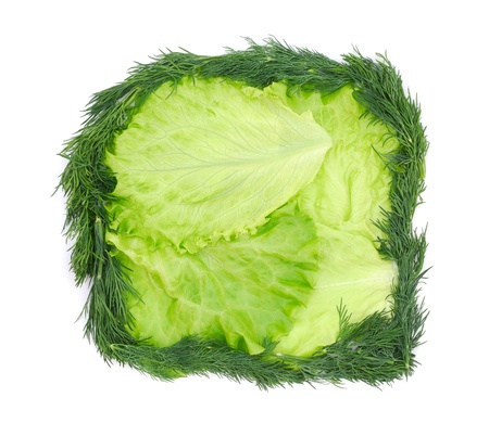 Lettuce with dill isolated on white backgroundの写真素材
