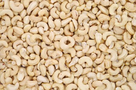 Cashews nut backgroundの写真素材