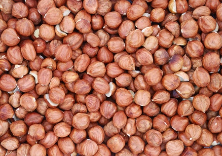 Hazelnuts backgroundの写真素材
