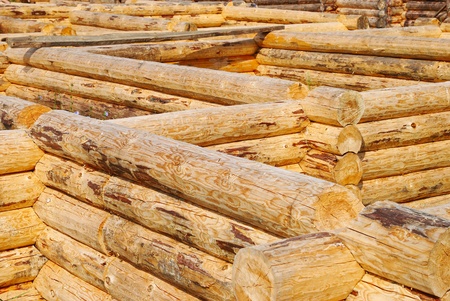 Building of a new log cabinsの写真素材
