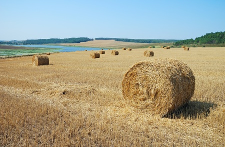 Hay balesの写真素材