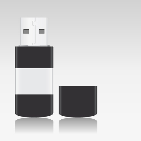 Vector USB Flash Driveのイラスト素材