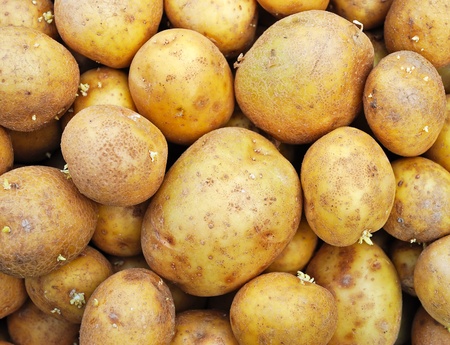The heap of potatoes, top viewの写真素材
