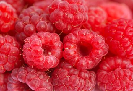 Raspberryの写真素材