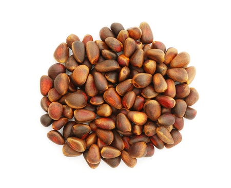 Pine nuts isolated on white backgroundの写真素材