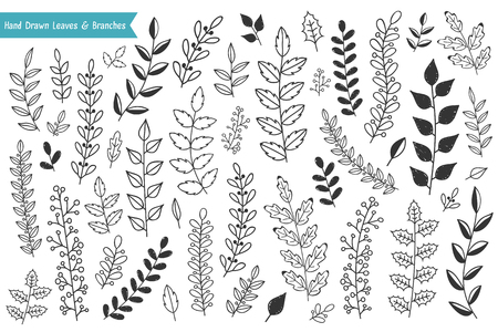 Collection of hand drawn leaves and branches on white background, vector eps10 illustrationのイラスト素材
