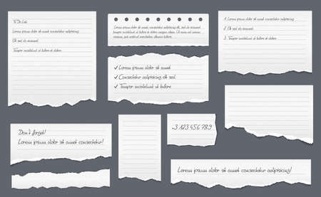 White torn lined paper pieces with shadows, vector eps10 illustrationのイラスト素材