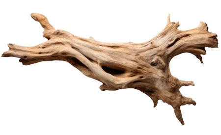 Driftwood isolated on white backgroundの素材