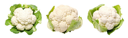 Three cauliflowers isolated on white backgroundの素材
