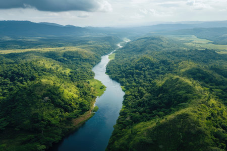 Aerial view of the river flowing in the rainforestの素材
