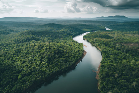Top view of a river in rainforestの素材