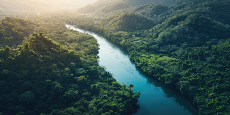Aerial view of the river in rainforestの素材