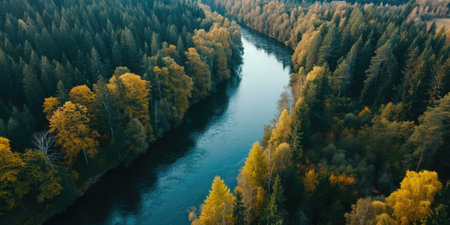 River flowing in the coniferous forest at autumnの素材
