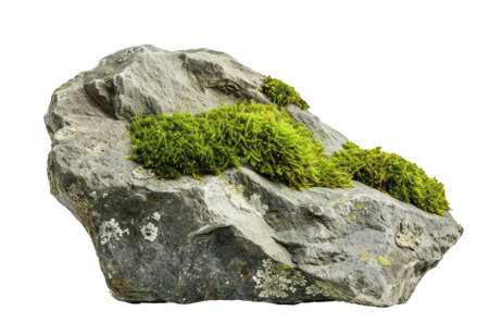 Bog stone with moss isolated on white backgroundの素材