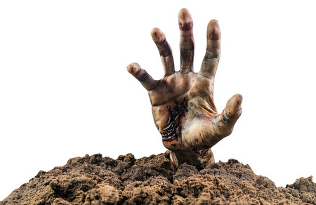 Zombie hand in the ground isolated on white backgroundの素材