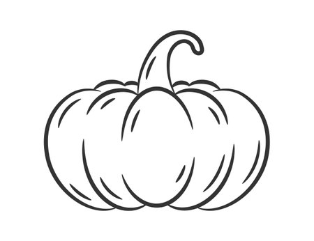 Silhouette of a pumpkin, vector eps10 illustrationのイラスト素材