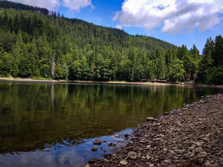 Lake in the mountains. Lake near the forest. Coniferous forest. Forest.