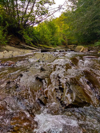 Mountain stream in the forest. Mountain river in the forest.の写真素材