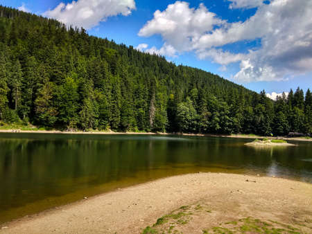 Lake in the mountains. Lake near the forest. Coniferous forest. Forest. Summer day near the lake.の写真素材