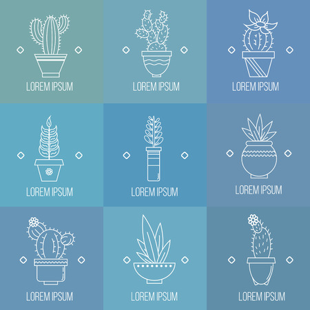 Set of succulent plants and cactuses in pots.
Linear logo element designのイラスト素材