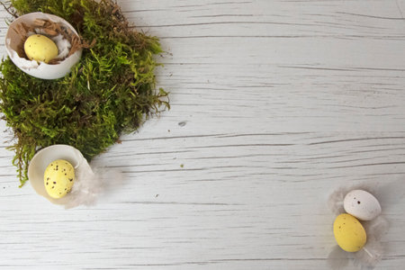 Yellow and white easter egg nest inside goose egg with green foliage displayed on white wooden boardの写真素材