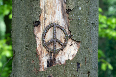 Peace sign on a dead tree trunk made with nail heads and bark cut outの写真素材