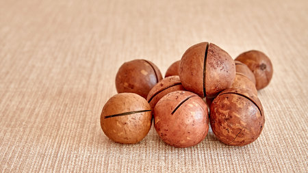 Macadamia nuts lie on a light brown surface, photographed in close-up. The front part is in focus, the back part of the image is blurred.の写真素材