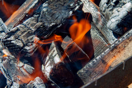 A fire made of firewood is burning in the grill