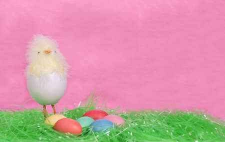 A cute Easter chick toy with colored eggsの写真素材