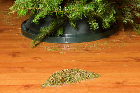 A pile of needles on the floor from the Christmas treeの写真素材