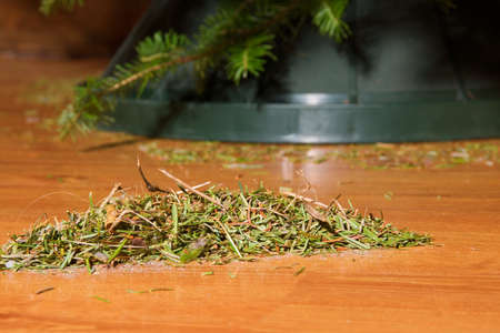 A pile of needles from a Christmas tree on the floor.の写真素材