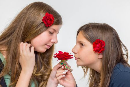 Portrait of two caucasian teenage girls smelling red rosesの写真素材