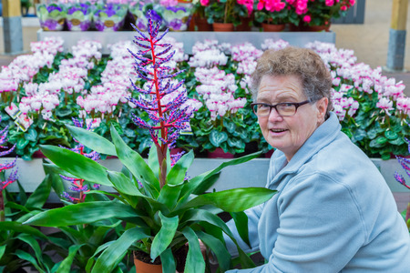 Elderly caucasian woman showing flowering plant in garden shopの写真素材