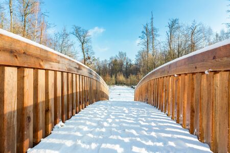 Snow on wooden bridge in forest landscape during winter seasonの写真素材