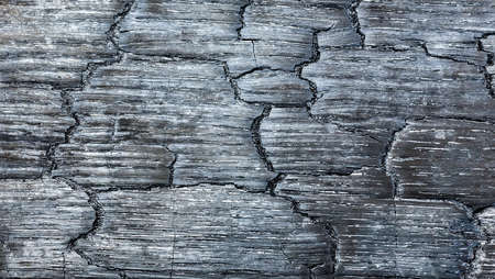 Burnt black wood with texture and structure suitable as backgroundの写真素材