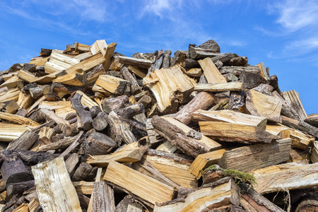 Big heap of chopped tree trunks for heating seasonの写真素材