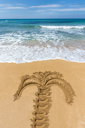 Drawing of palm tree on sandy beach on island of Greeceの写真素材