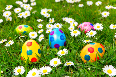 Colored painted easter eggs in green grass with  flowering white daisiesの写真素材