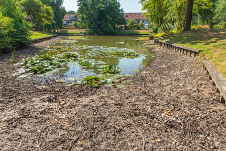 Drying european city pond in  summer periodの写真素材