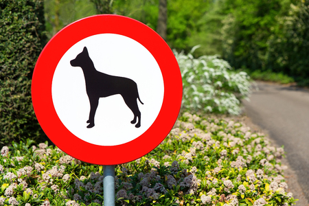 Dutch traffic sign forbidden to walk with dogs in this areaの写真素材