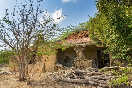 Old derelict house with trees and garden on island Bonaireの写真素材